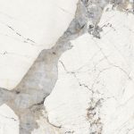 Mẫu đá BRECCIA PATAGONIA