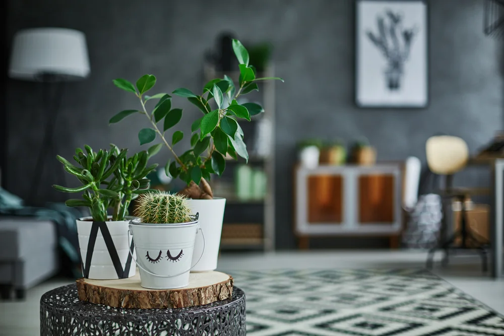 Xu hướng thiết kế Đưa thiên nhiên vào không gian sống — ảnh 2