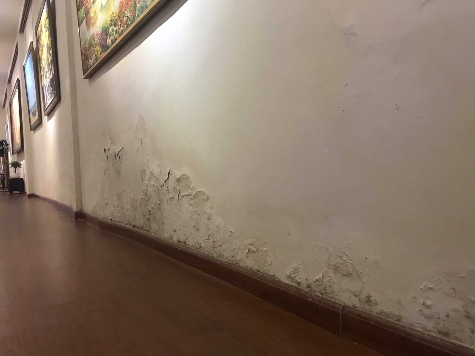 Cải tạo phòng tranh Vietnam Art Gallery — ảnh 2